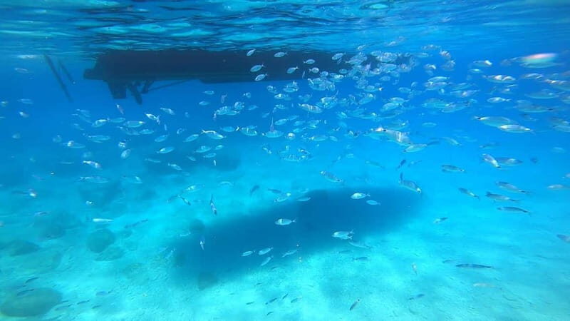 Zakynthos: Blue Caves and Navagio Bay Swim Cruise - FAQ