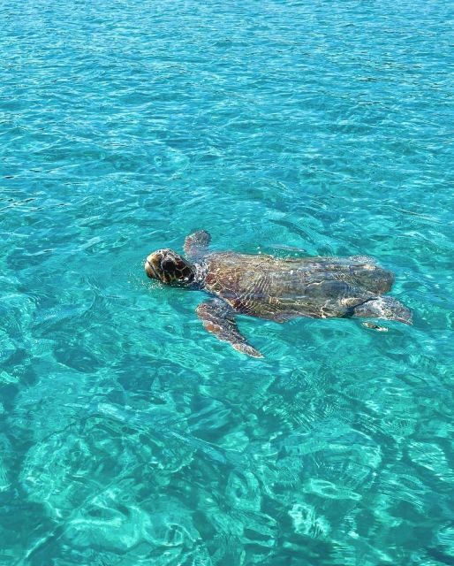 Zakynthos: Boat Rental - What to Expect from the Zakynthos Boat Rental