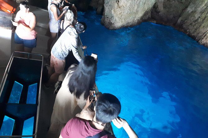 Zakynthos : One day small group tour to Navagio beach Blue Caves & top view - FAQ