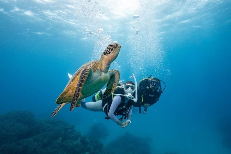 Zakynthos: Scuba Diving Experience with Underwater Photos - What Makes This Experience Stand Out