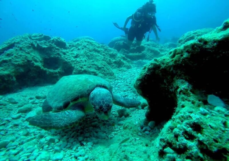 Zakynthos: Scuba Diving Experience with Underwater Photos - Who Should Consider This Experience?