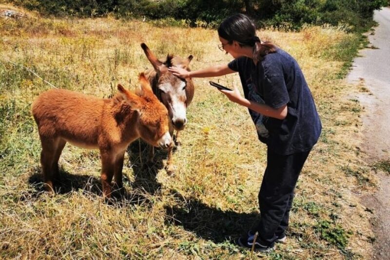 Zakynthos Sunset Tour to Kampi with Greek Night! - Final Thoughts