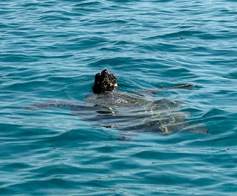 Zakynthos: Turtle Island, Cameo and Keri Caves + Transport - FAQs