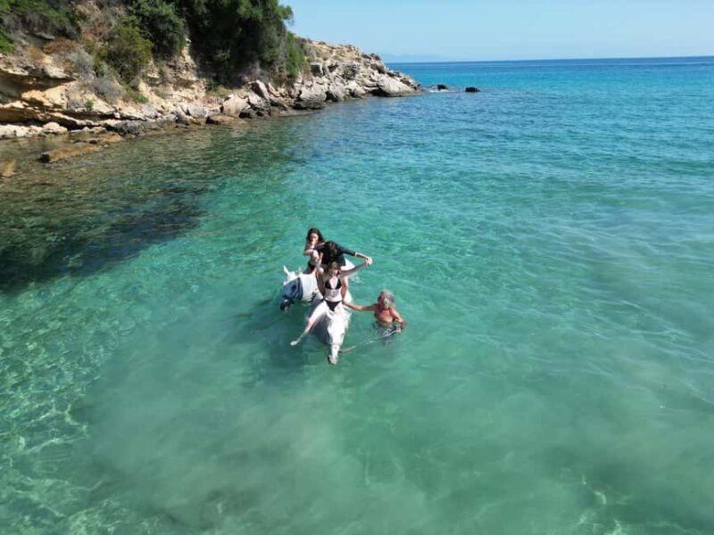 Zakynthos: Yotomu Horse Riding and Swimming Experience - The Real Feedback from Travelers