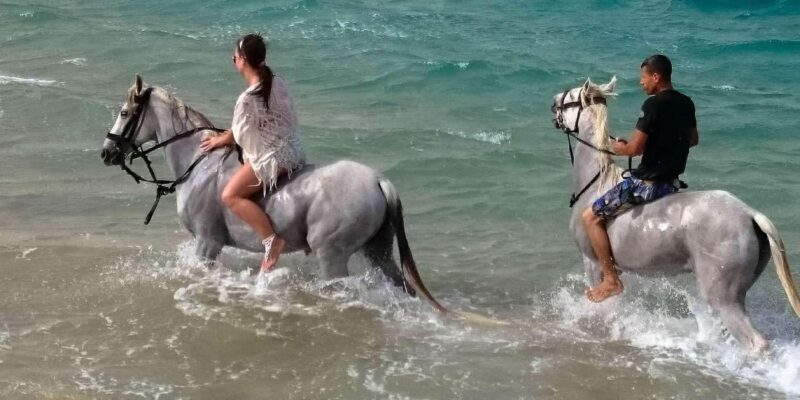 Zakynthos: Yotomu Horse Riding and Swimming Experience - Final Thoughts