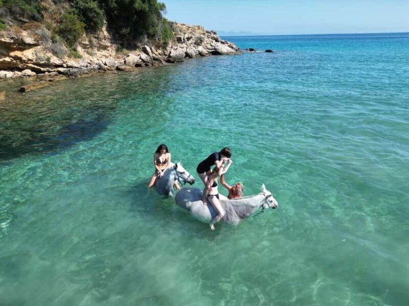 Zakynthos: Yotomu Horse Riding and Swimming Experience - FAQ