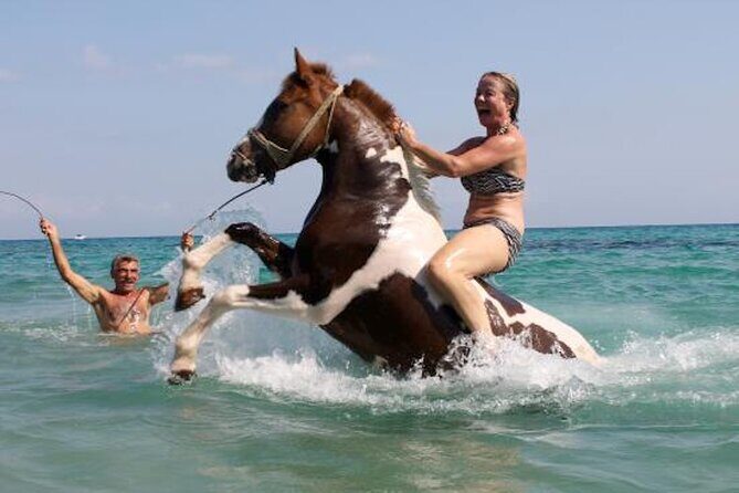 Zakytnhos Horse Riding Swimming Experience - What Is the Zakytnhos Horse Riding Swimming Experience?