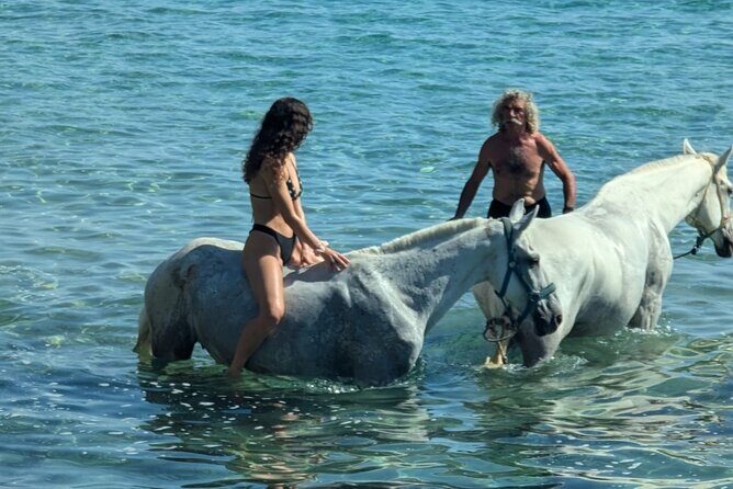 Zakytnhos Horse Riding Swimming Experience - Who Would Love This Tour?