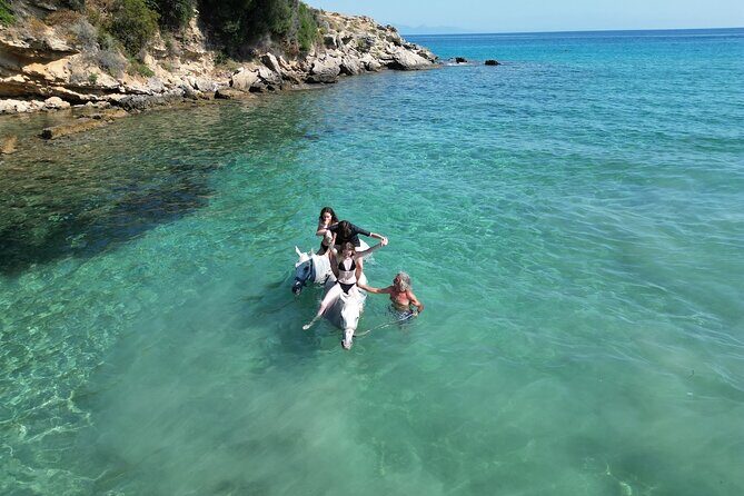 Zakytnhos Horse Riding Swimming Experience - What’s Included and What’s Not?