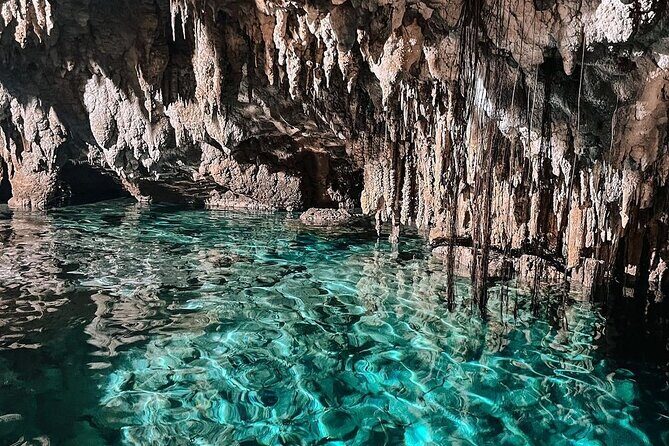 Zapote Cenotes Adventure Tour Prehistoric Park - What to Expect from the Tour Itself