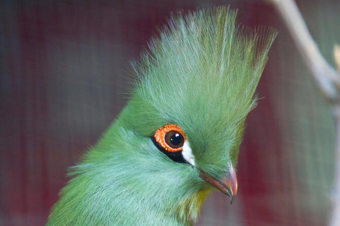 Zaragoza Aquarium Admission Ticket - Is It Worth Visiting?