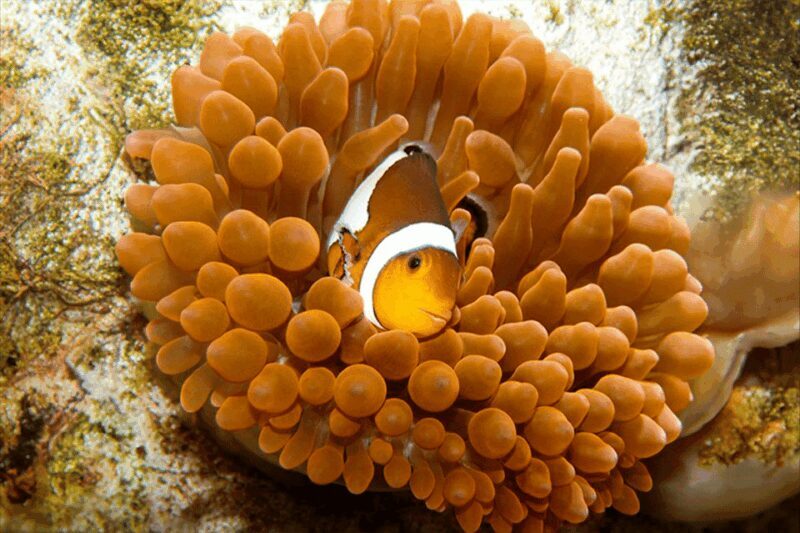 Zaragoza : Aquarium entry ticket - What About the Food and Views?