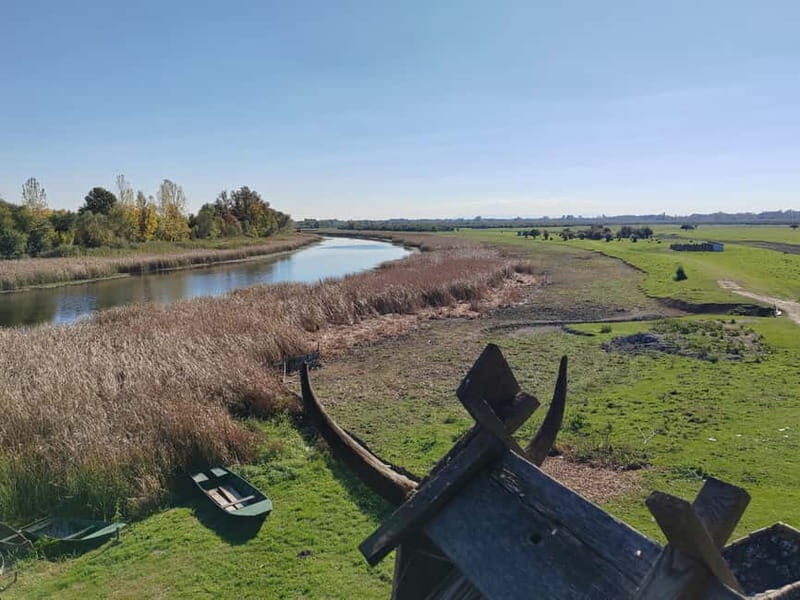 Zasavica Safari Tour - What the Reviews Say