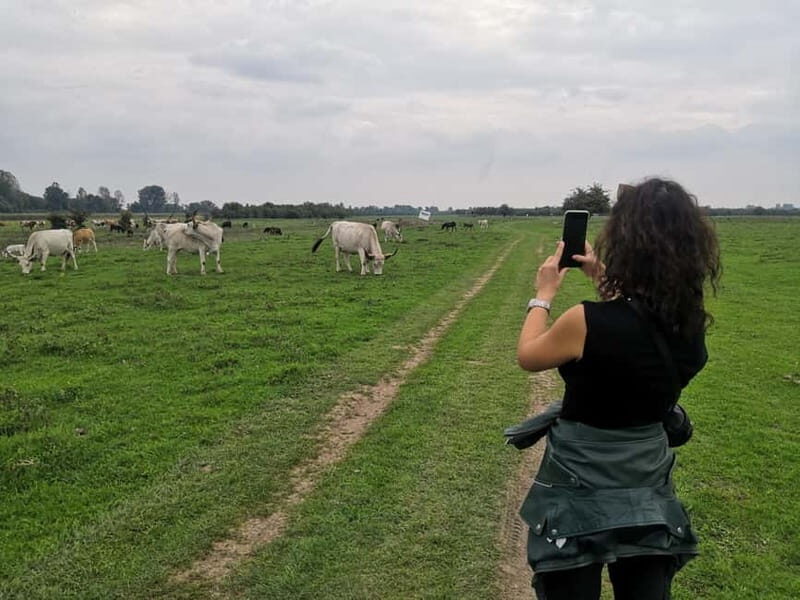 Zasavica Safari Tour - Final Thoughts