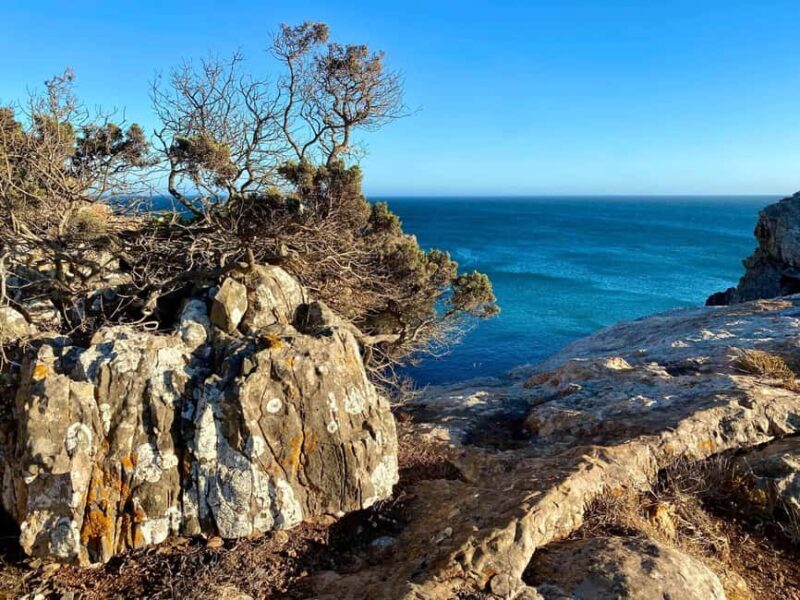 Zavial: Stretch Horizons | Coastal Hike & Yoga - A Closer Look at the Coastal Hike