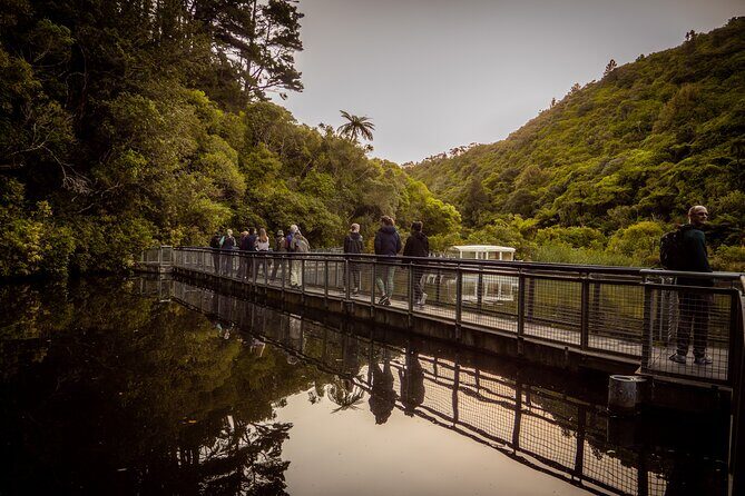 Zealandia - Twilight Guided Eco Wildlife Tour - What’s the Tour All About?