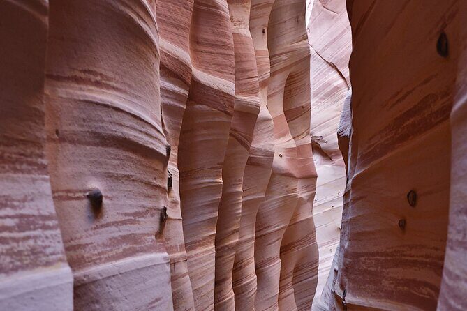 Zebra Slot Canyon Hiking Tour in Escalante - Key Points
