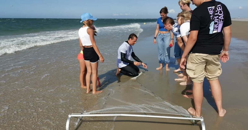 Zeeland Strand safari met visnet NL/DE - FAQs