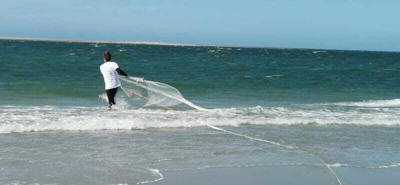 Zeeland Strand safari met visnet NL/DE - Final Thoughts