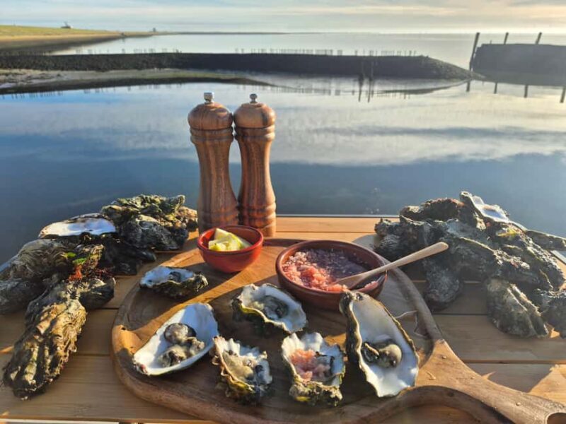 Zeeland Wild Oyster Picking Tour with drink and BBQ. - The Tour Experience in Detail