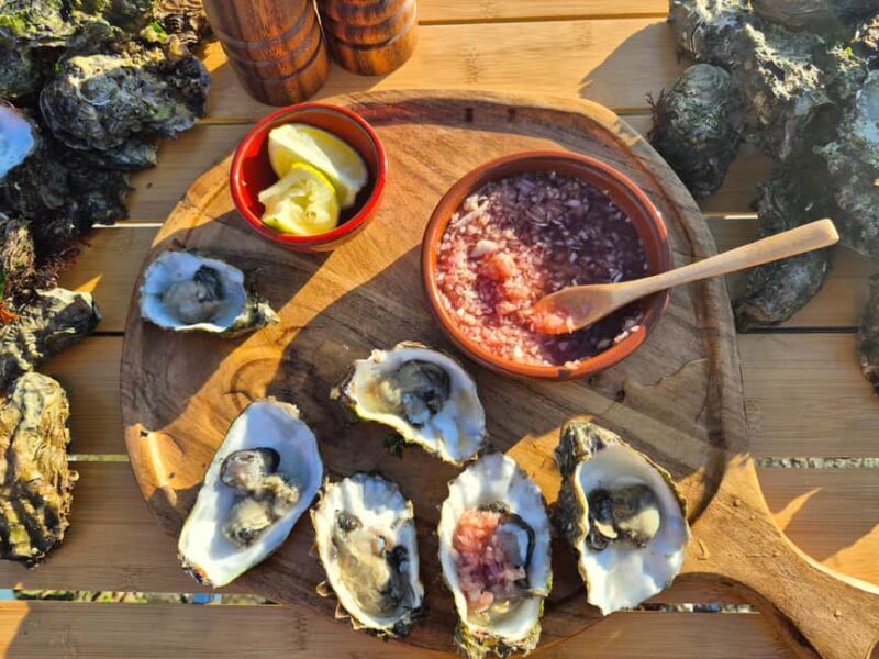 Zeeland Wild Oyster Picking Tour with drink and BBQ. - Who Should Consider This Tour?