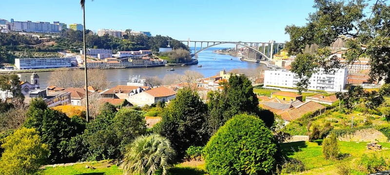 Zen Walking Tour Porto: Find Your Balance 2h - A Deep Dive into the Zen Walking Experience in Porto