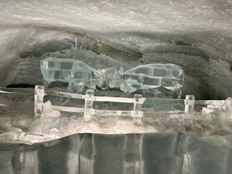 Zermatt & Glacier Paradise Private Tour | From Zurich - User Feedback & Authentic Perspectives