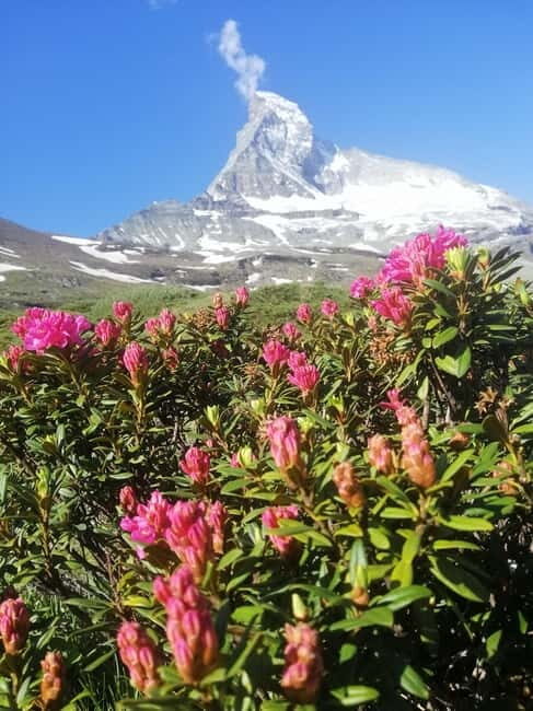 Zermatt: Matterhorn Glacier Paradise & Schwarzsee Hike - The Practical Side: Pricing, What’s Included, and Considerations