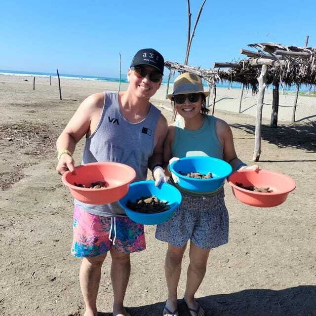 Zihuatanejo, Guerrero: Turtle Release Experience - The Reviews Say It All