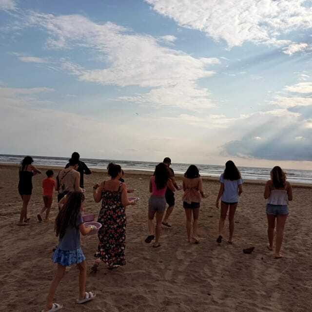 Zihuatanejo, Guerrero: Turtle Release Experience - Who Should Consider This Tour?