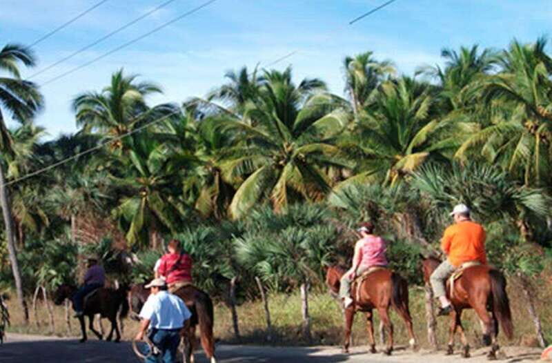 Zihuatanejo: Horseback Riding on the Beach - Who Should Consider This Tour?