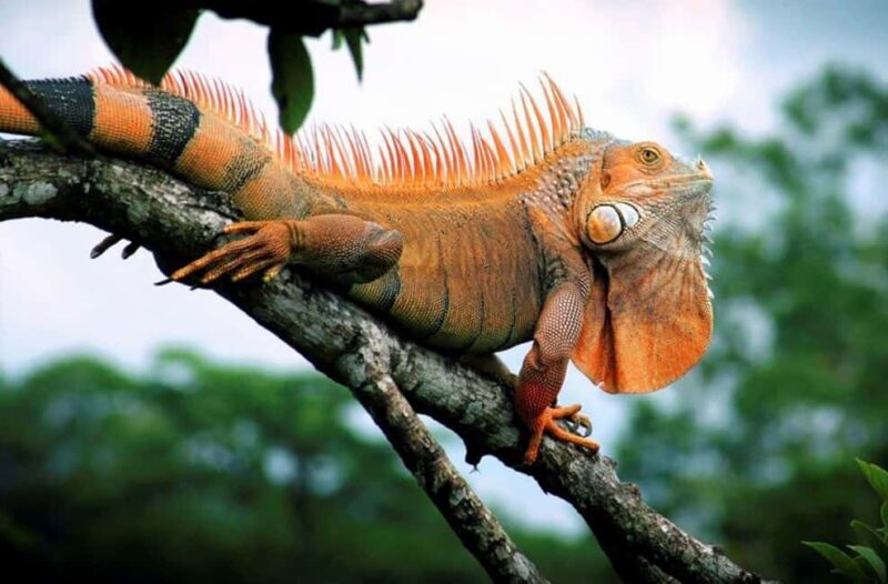 Zihuatanejo Ixtapa: Super Combo Tour - Who Should Consider This Tour?