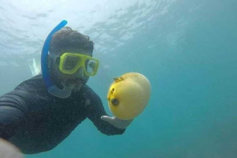 Zihuatanejo: Las Gatas Beach Snorkeling and Kayaking Tour - Final Thoughts