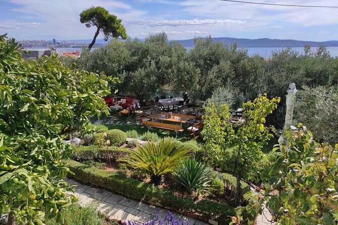 Zinfandel Wine Tasting & Storytelling with Dalmatian Food - The Pros and Cons