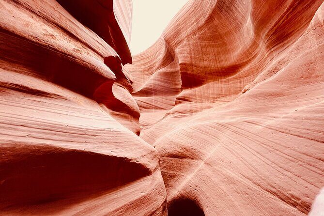 Zion and Bryce Canyon Park and Antelope 4 Day Tour - Who Will Love This Tour?