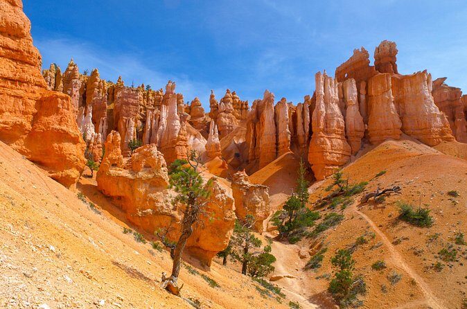 Zion, Bryce, Antelope, Grand Canyon, Las Vegas 6-Day Tour from SF - Final Thoughts: Is It Worth It?