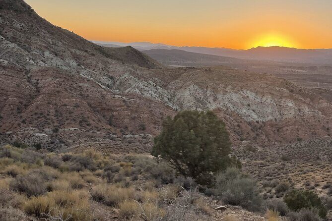 Zion Hummer Tour to Zion Waterfall with swimming - Key Points