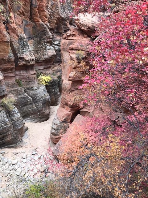 Zion National Park 5-hour Tour: Hike and Drive - A Closer Look at What to Expect