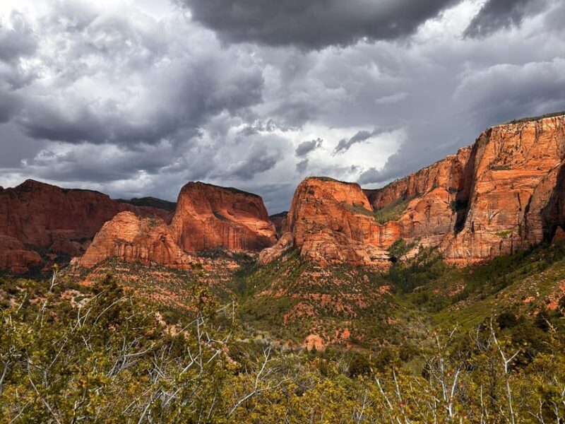 Zion National Park 5-hour Tour: Hike and Drive - Scenic Driving and Viewpoints