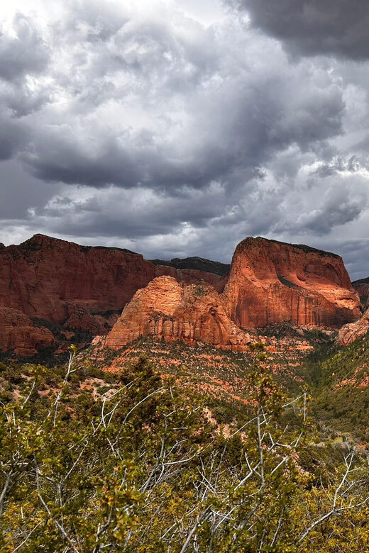 Zion National Park 5-hour Tour: Hike and Drive - Return and Flexibility