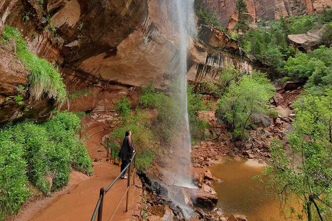 Zion National Park Full-Day Insider Tour - What is the Zion National Park Full-Day Insider Tour?