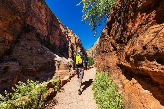Zion National Park Self-Guided Driving & Shuttling Tour - FAQs
