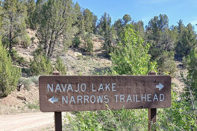 Zion National Park: Shuttle Service - An Honest Look at Zion’s Shuttle Service