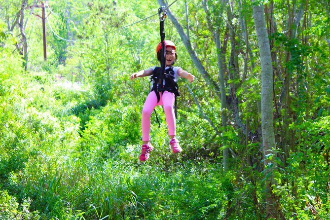 Zip and Dip: 3 Ziplines and Wet n Wild Waterpark - The Sum Up