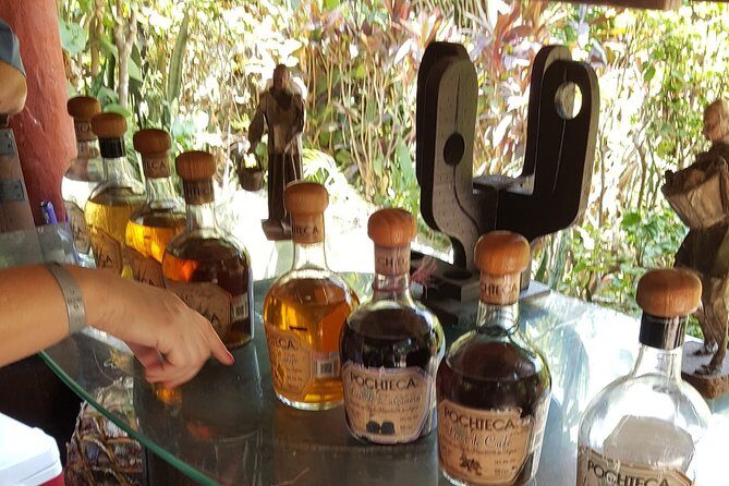 Zip Line Canopy Jungle Adventure from Puerto Vallarta - What To Expect on the Zip Line Jungle Adventure