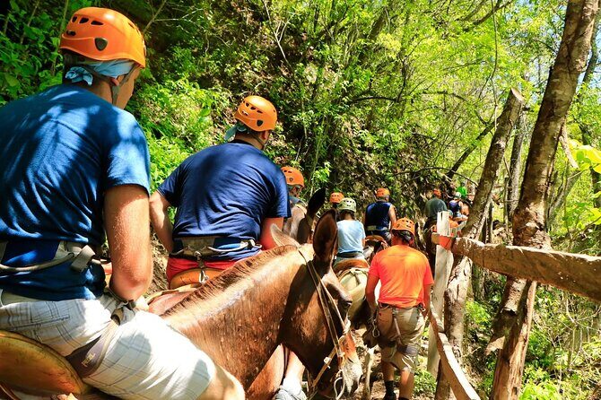 Zip Line, Mules Ride and Walk on the Hanging Bridge - Who Should Consider This Tour?