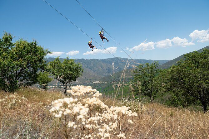 Zip Zoom Ziplines at La Jolla Indian Adventure Park - In Closing