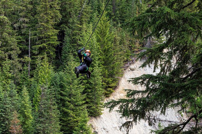 Zipline Adventure in Whistler - Price and Value