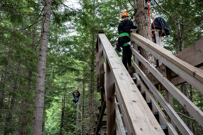 Zipline Adventure in Whistler - Who Will Love This Experience?