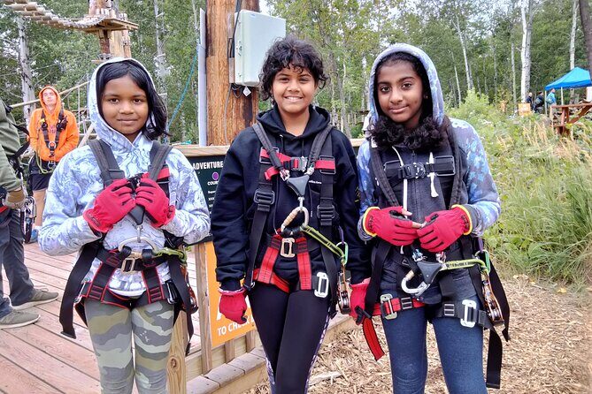 Zipline and Climb in a Forest on Lake Superior's North Shore - Group and Family Considerations